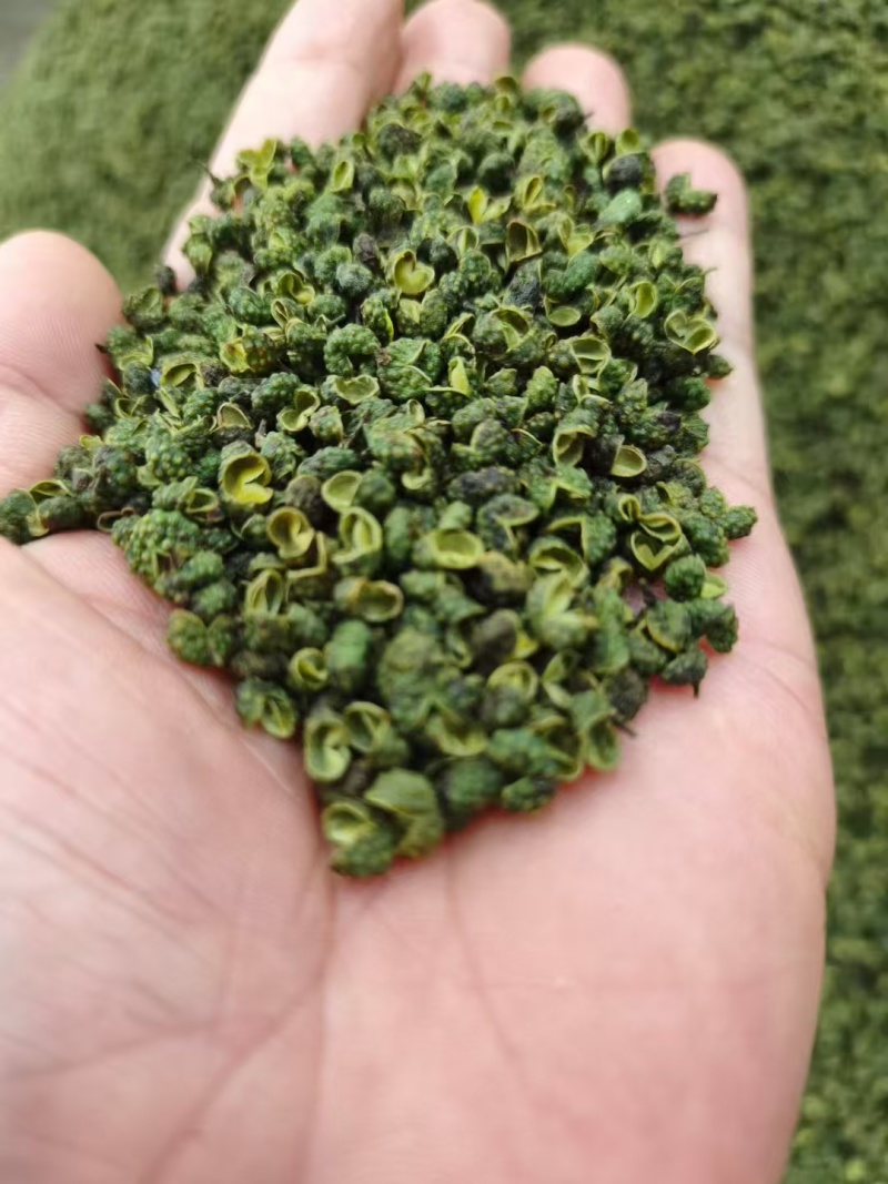 青花椒