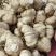 城固县豆薯地瓜大量上市。。质量好价格低。一手货源。全国发