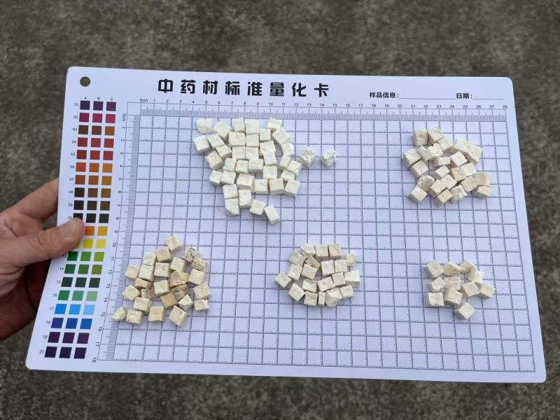 茯苓新货云苓白茯苓无硫茯苓丁含量达标现货仓库直发