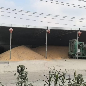 【推荐】玉米粒大吨位供应，量大从优价格美丽欢迎来电