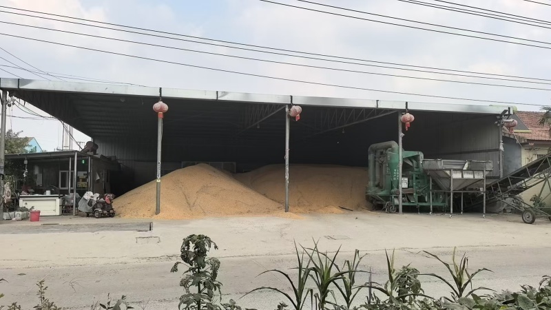 【推荐】玉米粒大吨位供应，量大从优价格美丽欢迎来电