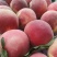 秋彤毛桃