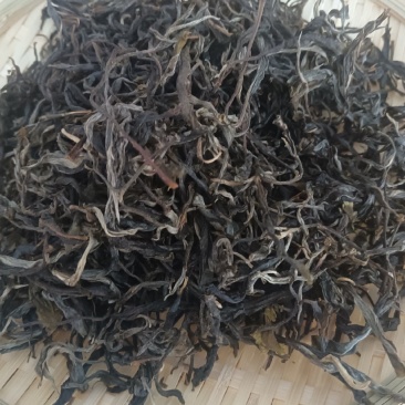 大树茶