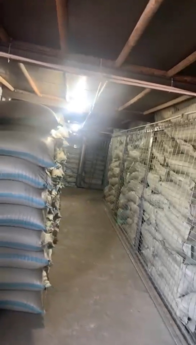 推荐：桦南紫苏籽紫苏基地种植亚麻酸欧米茄3**