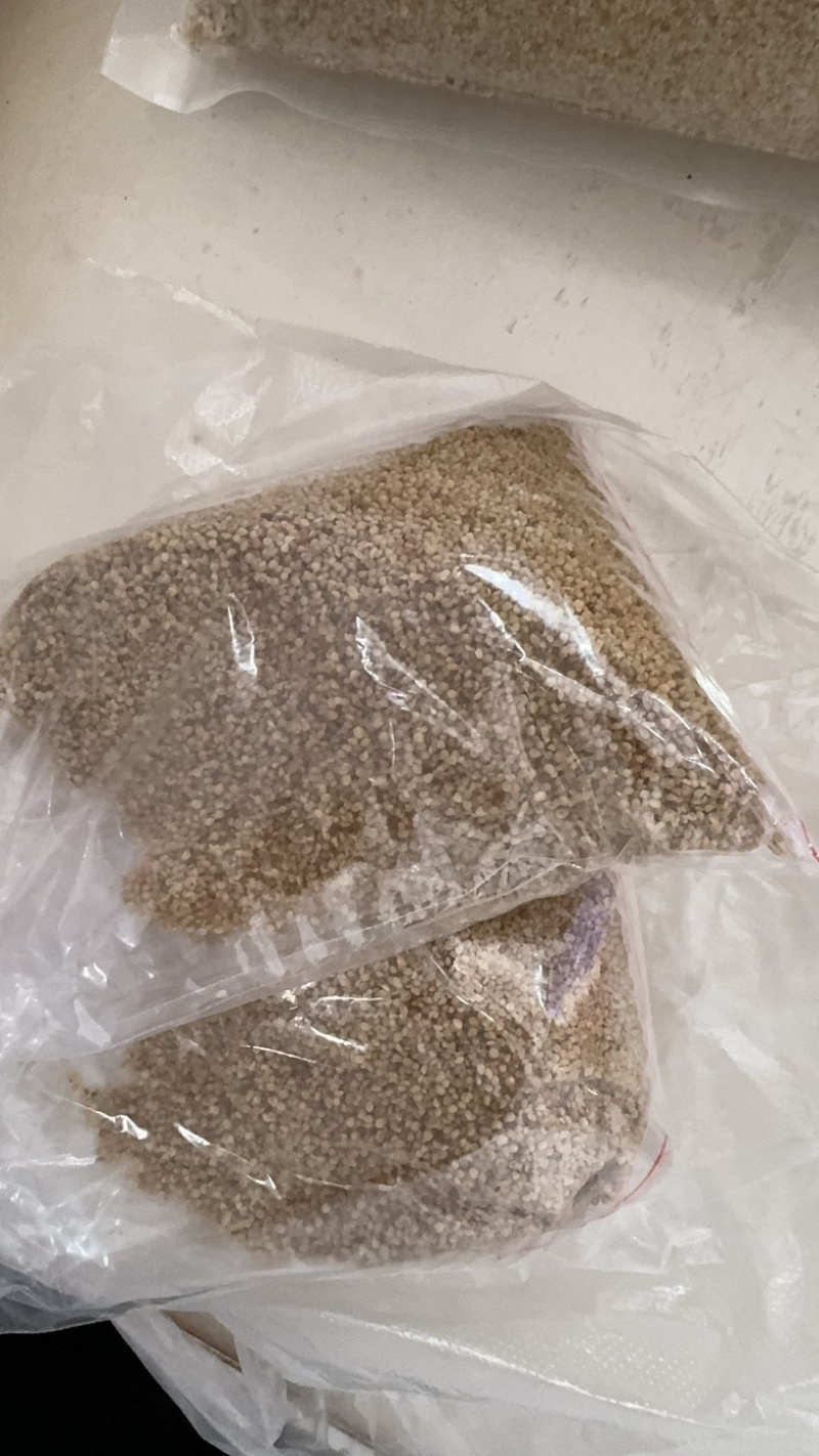 推荐：桦南县咖啡色紫苏籽食品级别符合出口标准