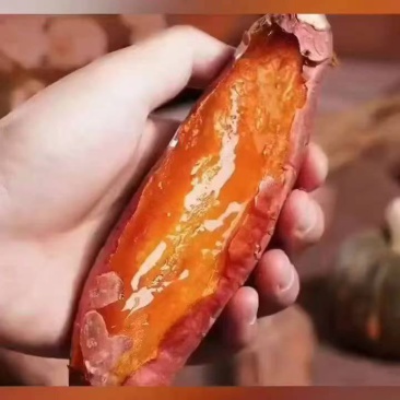 烟薯25大量供应，沙土种植，甜糯可口，商品超市。