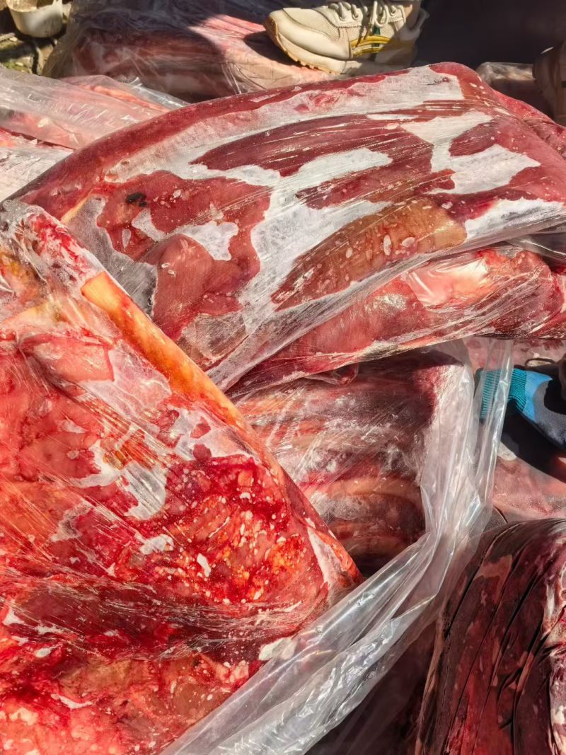 精修干马肉