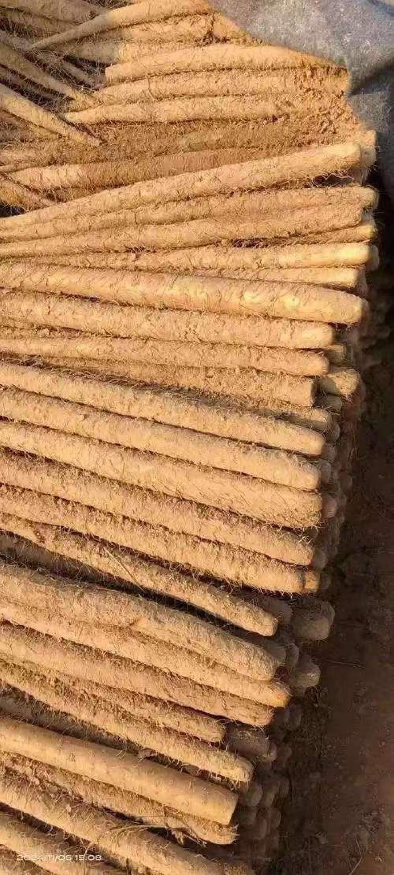 【量大优惠】河北双棒山药品质保障对接全国批发电商商超