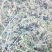 黑果腺肋花秋4万斤左右