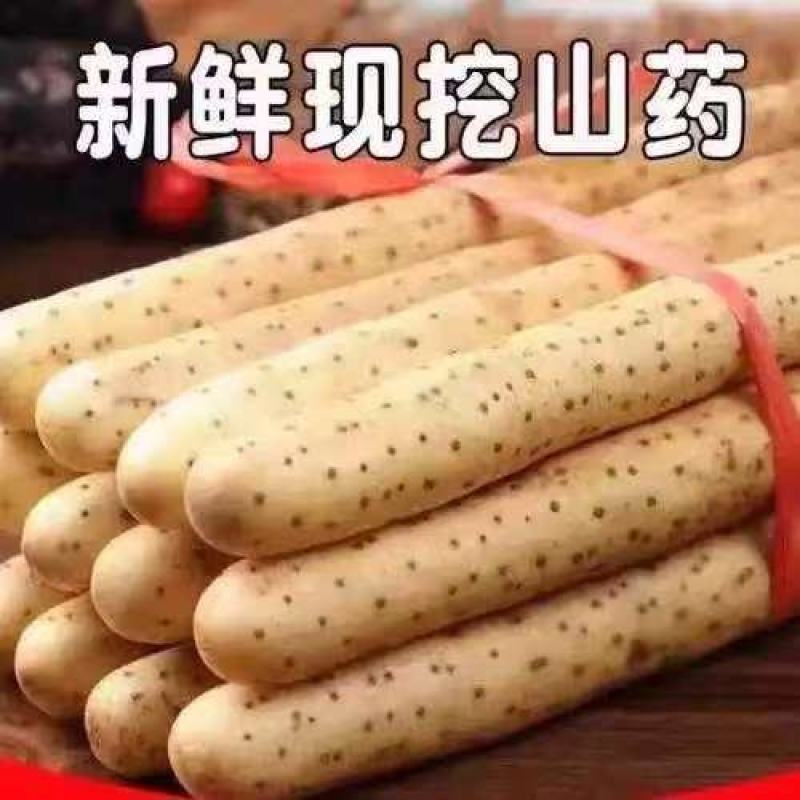 【品质】河北铁棍山药产地直供对接全国批发电商商超