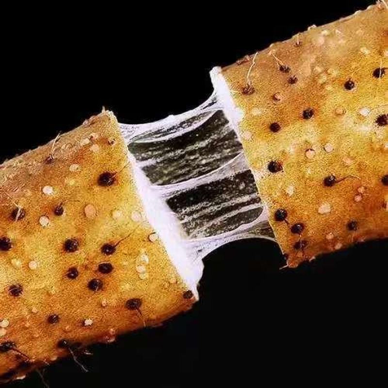 【品质】河北铁棍山药产地直供对接全国批发电商商超
