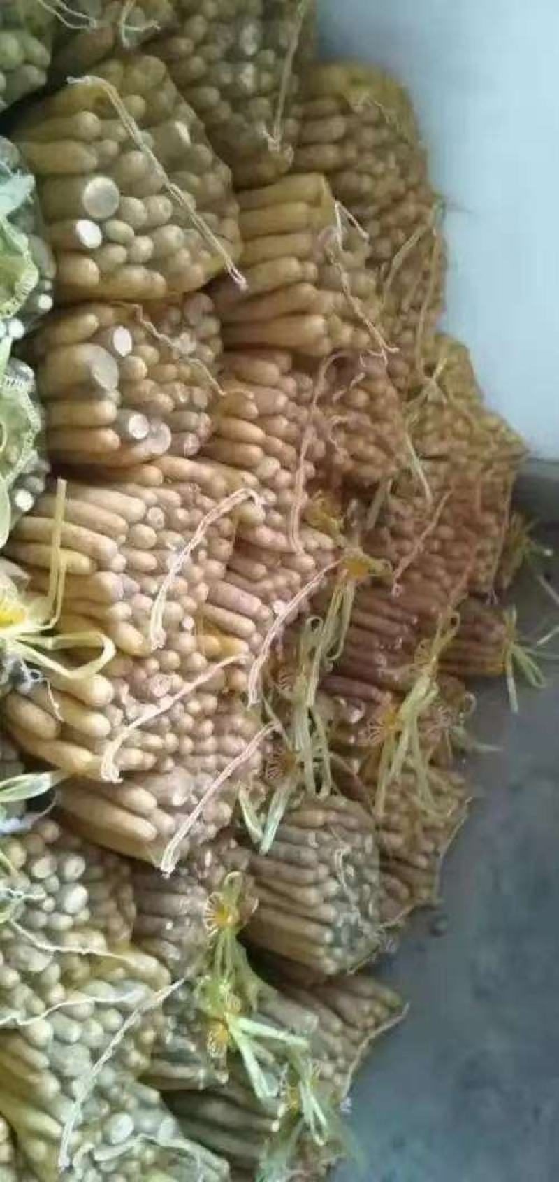 【品质】河北铁棍山药产地直供对接全国批发电商商超