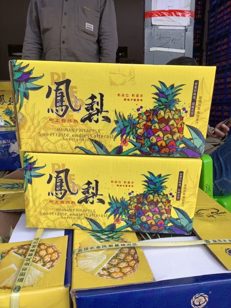 金钻凤梨一件代发仓库代工基地直发