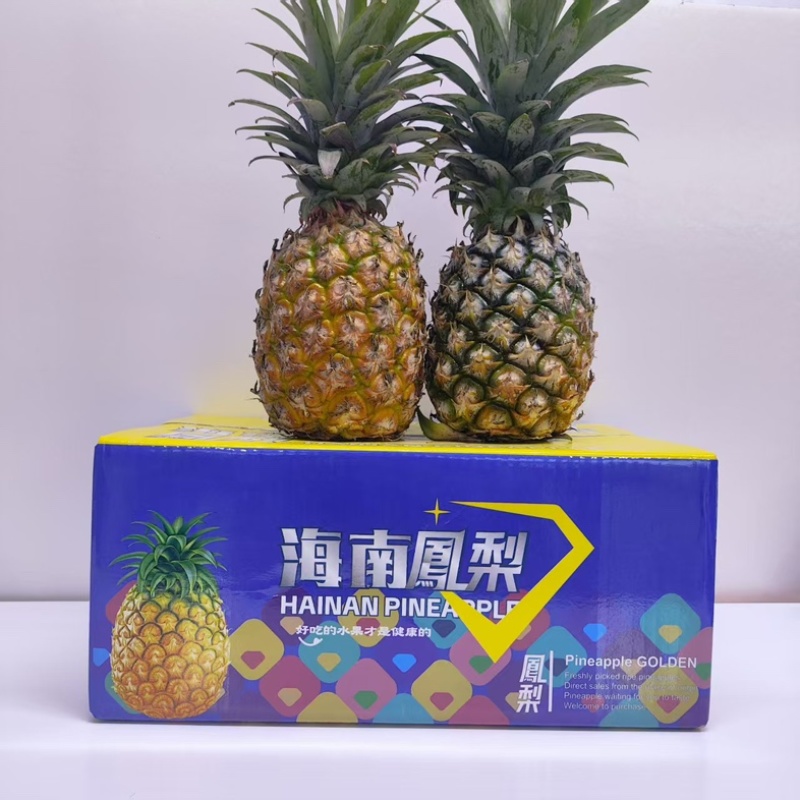 金钻凤梨一件代发仓库代工基地直发