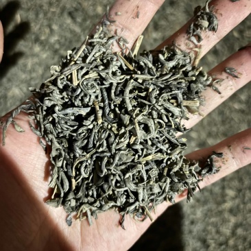 绿茶炒绿