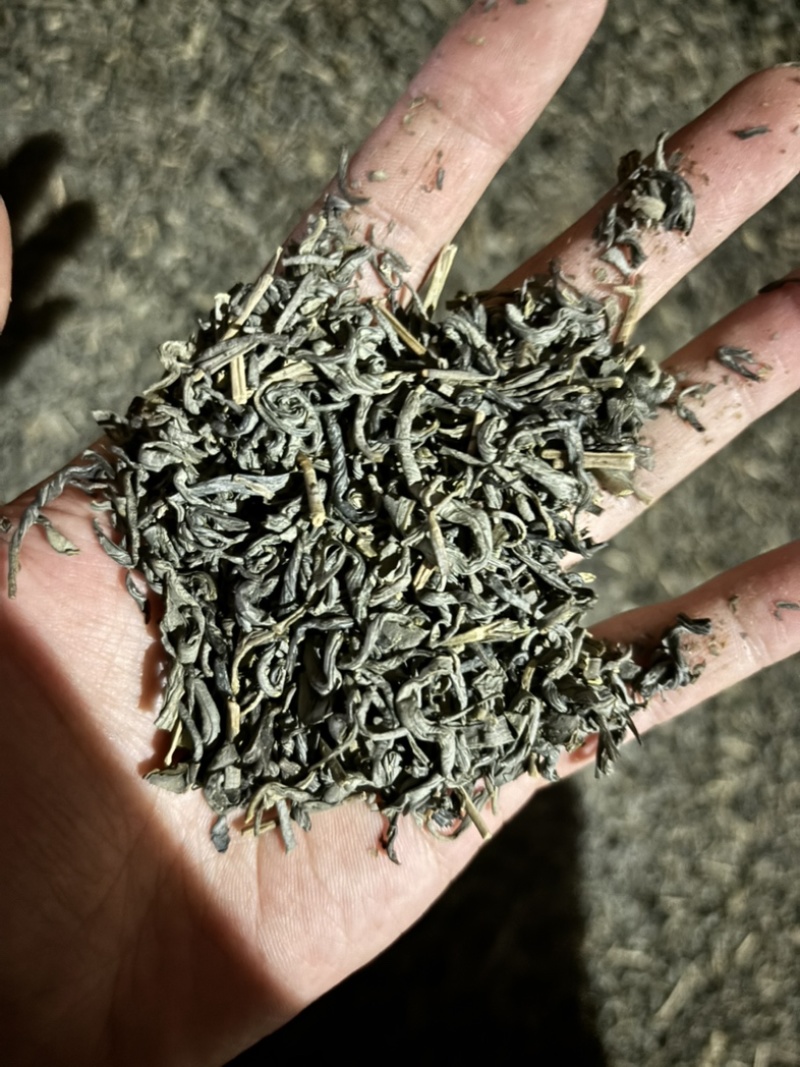绿茶炒绿
