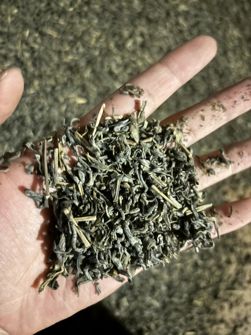 绿茶炒绿