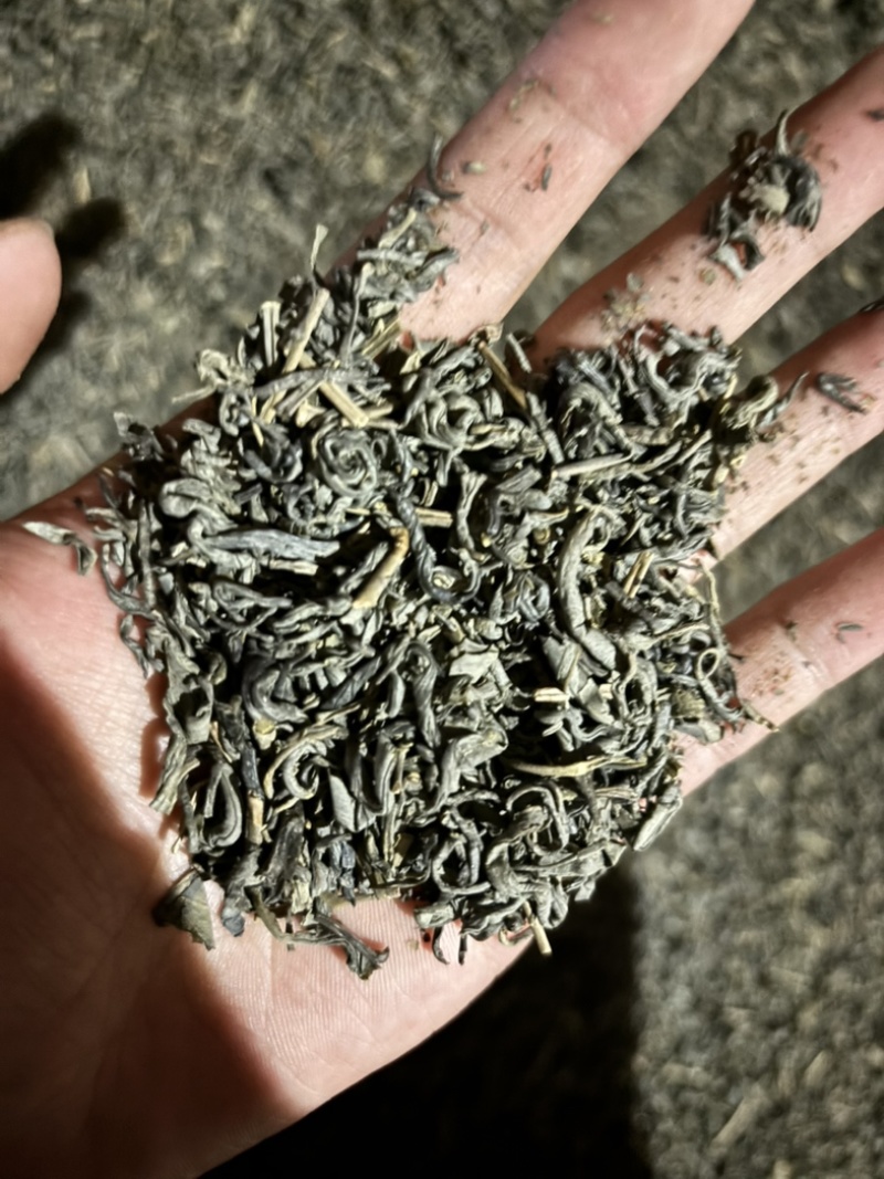 绿茶炒绿