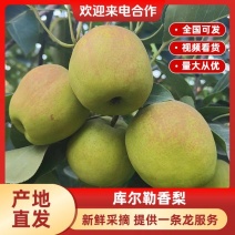 【实力商家】精品库尔勒香梨产地供应量大从优诚信经营
