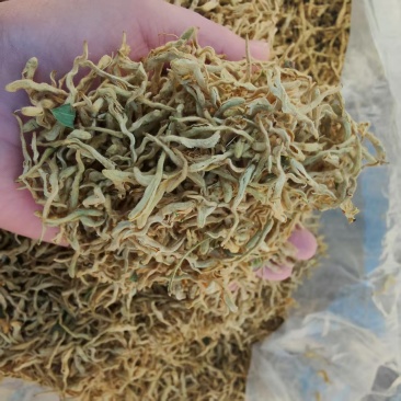 金银花