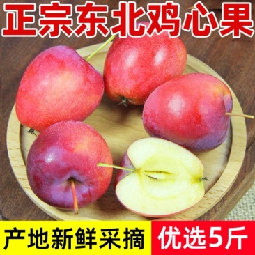 东北鸡心果海棠果支持各大平台一件代发