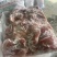 肥猪块肉