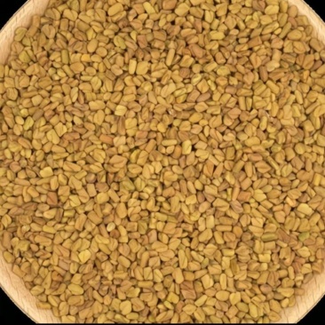 葫芦巴干货葫芦巴中药材欢迎选购！量大从优！