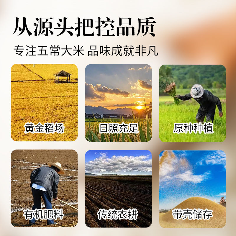 新米五常大米稻花香礼盒装对接电商平台一件代发，量大从优