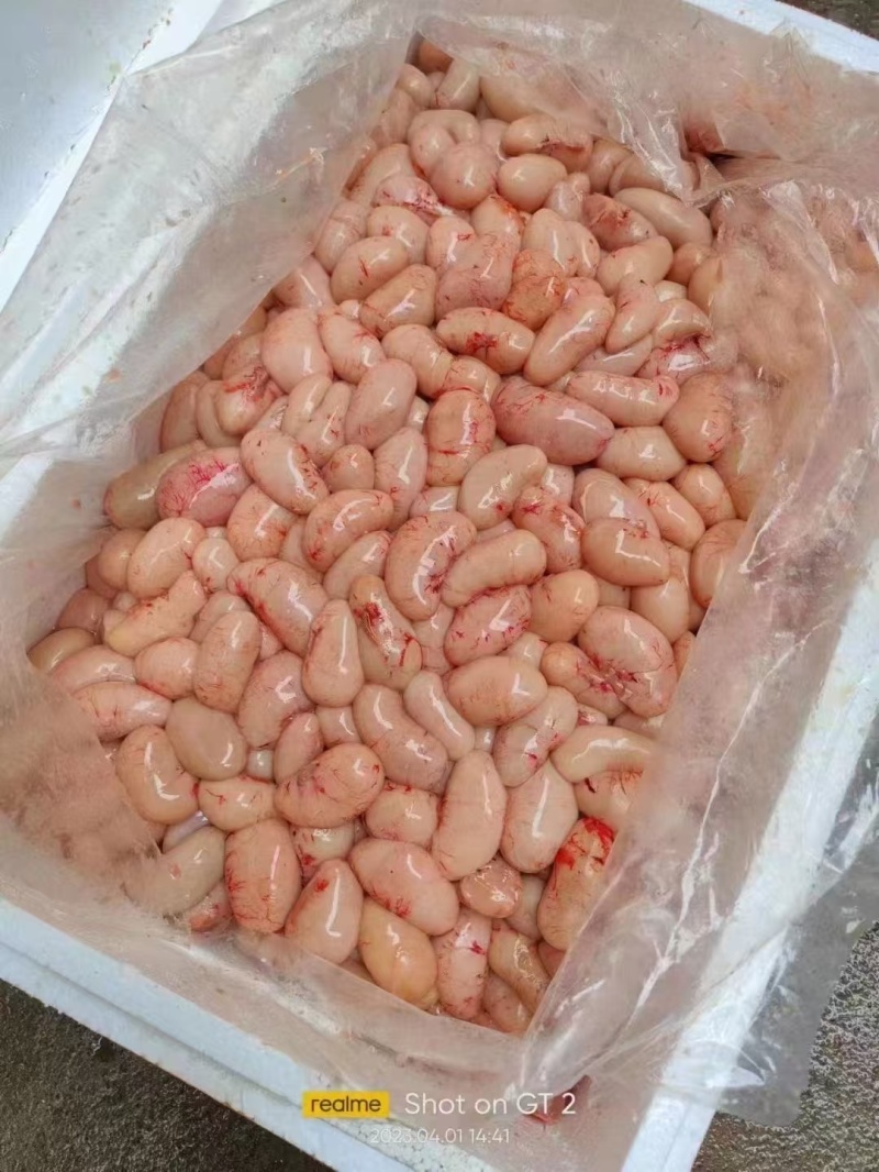 广东清远新鲜大鸡子，工厂直供欢迎来电咨询