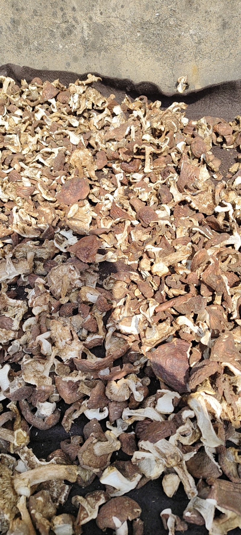 地扣，野生土豆蘑干货，各种规格都有，有需要的可以谈规格，