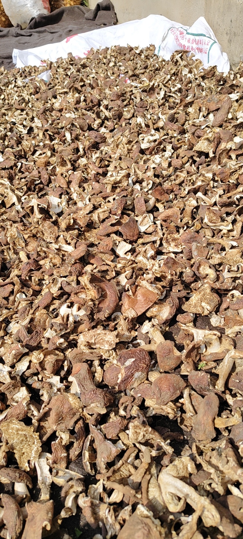 地扣，野生土豆蘑干货，各种规格都有，有需要的可以谈规格，