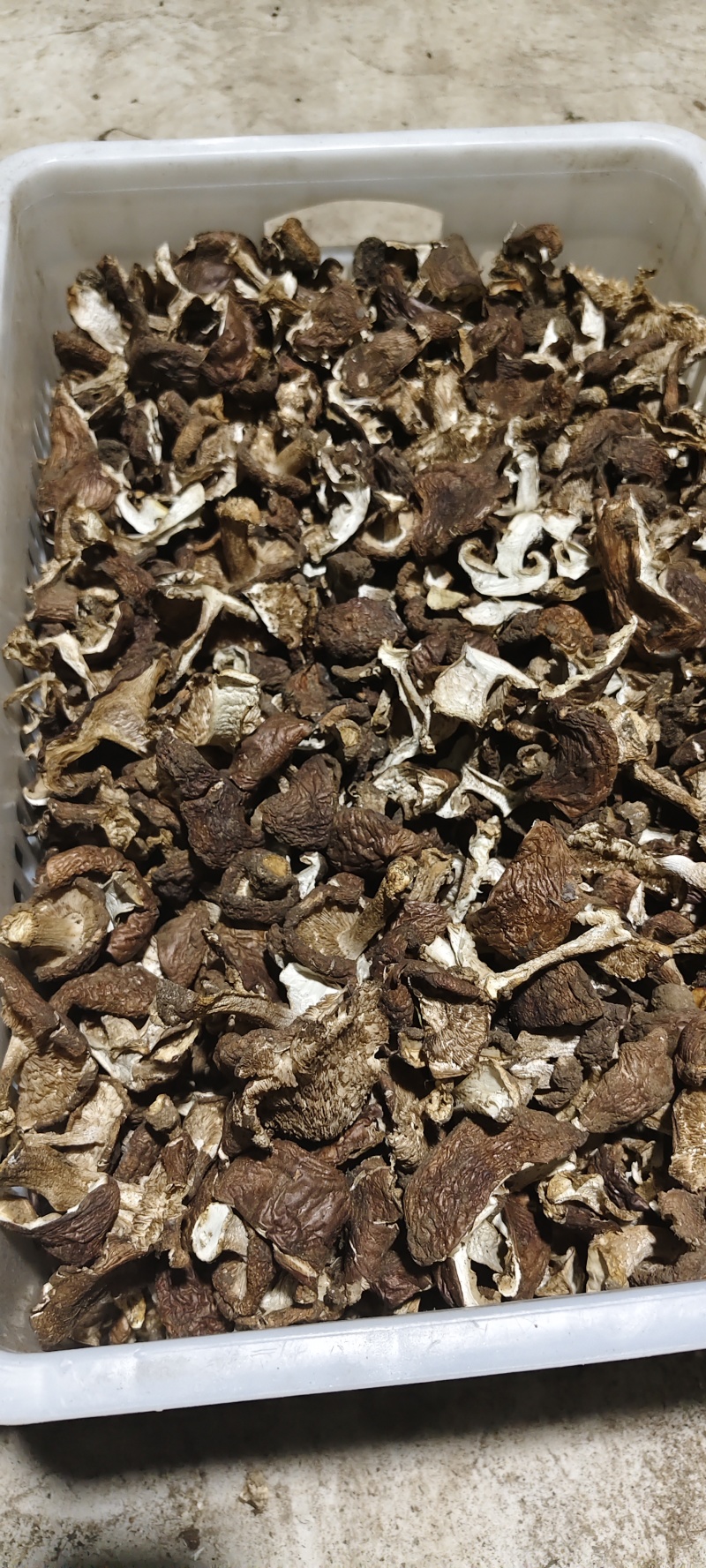地扣，野生土豆蘑干货，各种规格都有，有需要的可以谈规格，