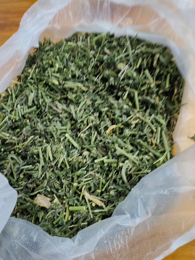 珍珠透骨草