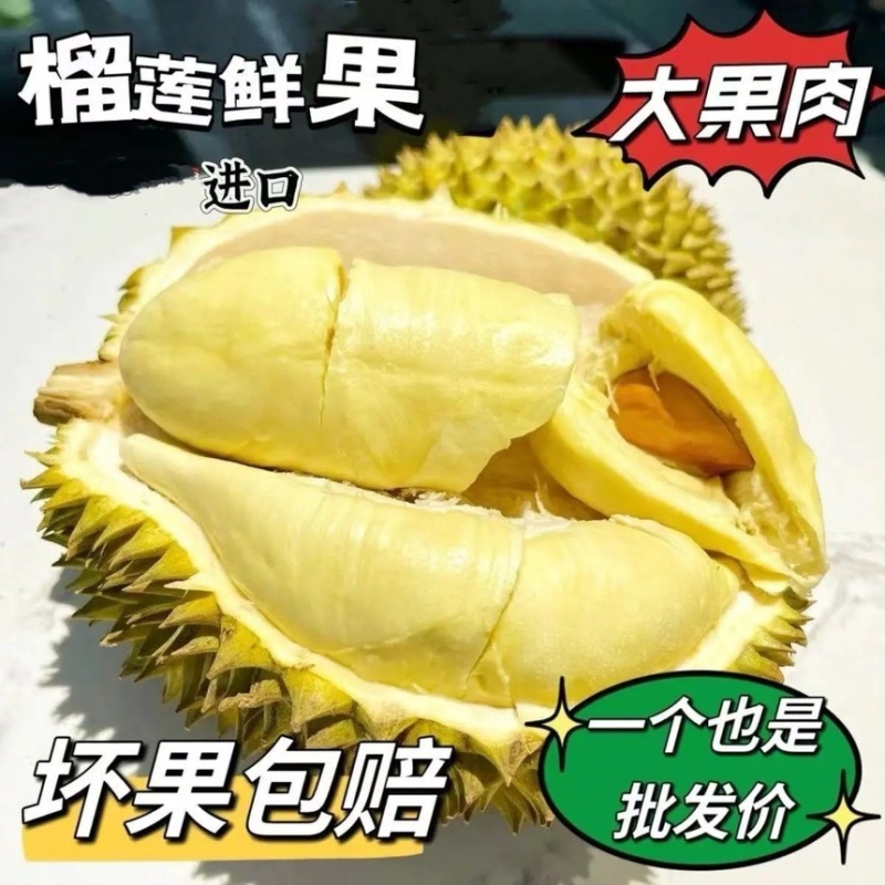顺丰包邮泰国进口金枕榴莲样品各种规格大小