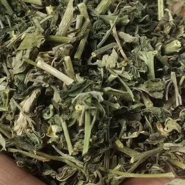 珍珠透骨草