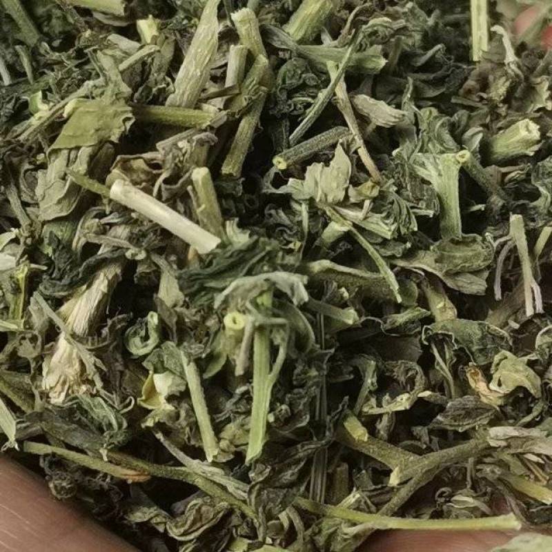珍珠透骨草