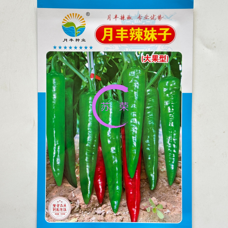 月丰辣妹子尖椒种子早熟杂交春季品种辣味高产抗病青红两用