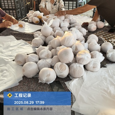 秋月梨