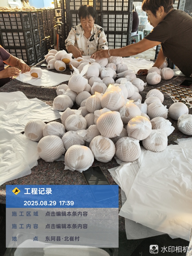 秋月梨