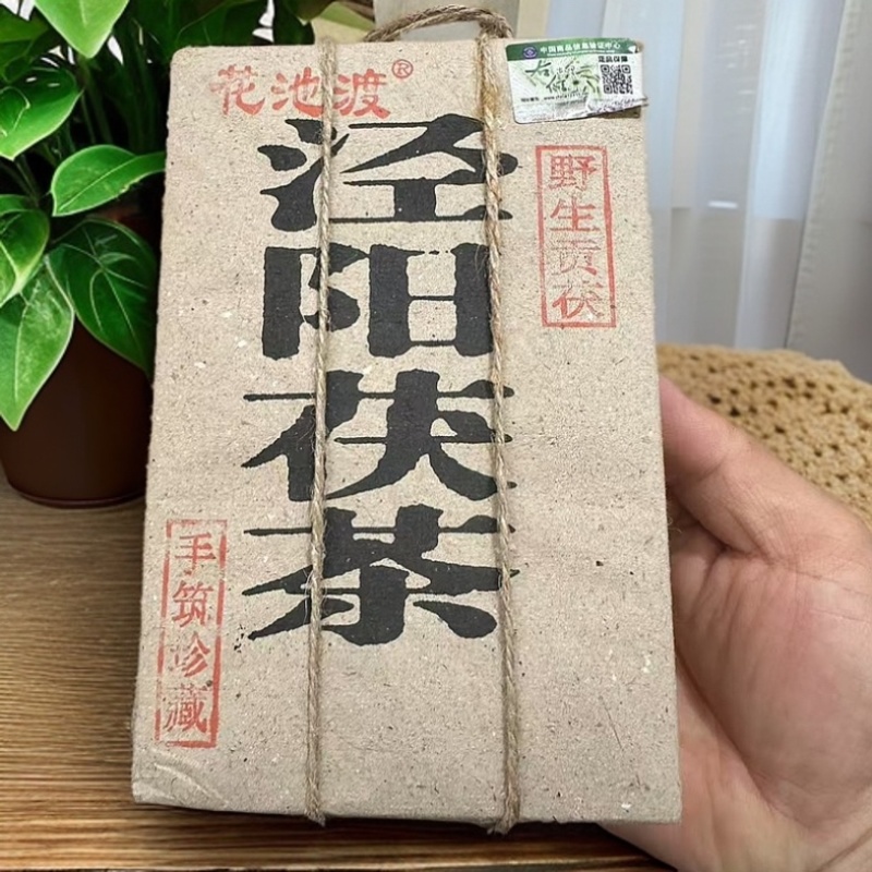 泾阳茯茶陕西特产右任故里金花黑茶茯砖500g*21/箱