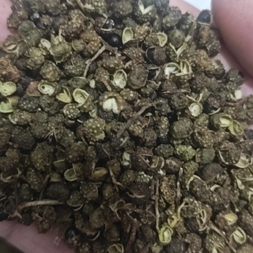 金阳生态红花椒，青花椒