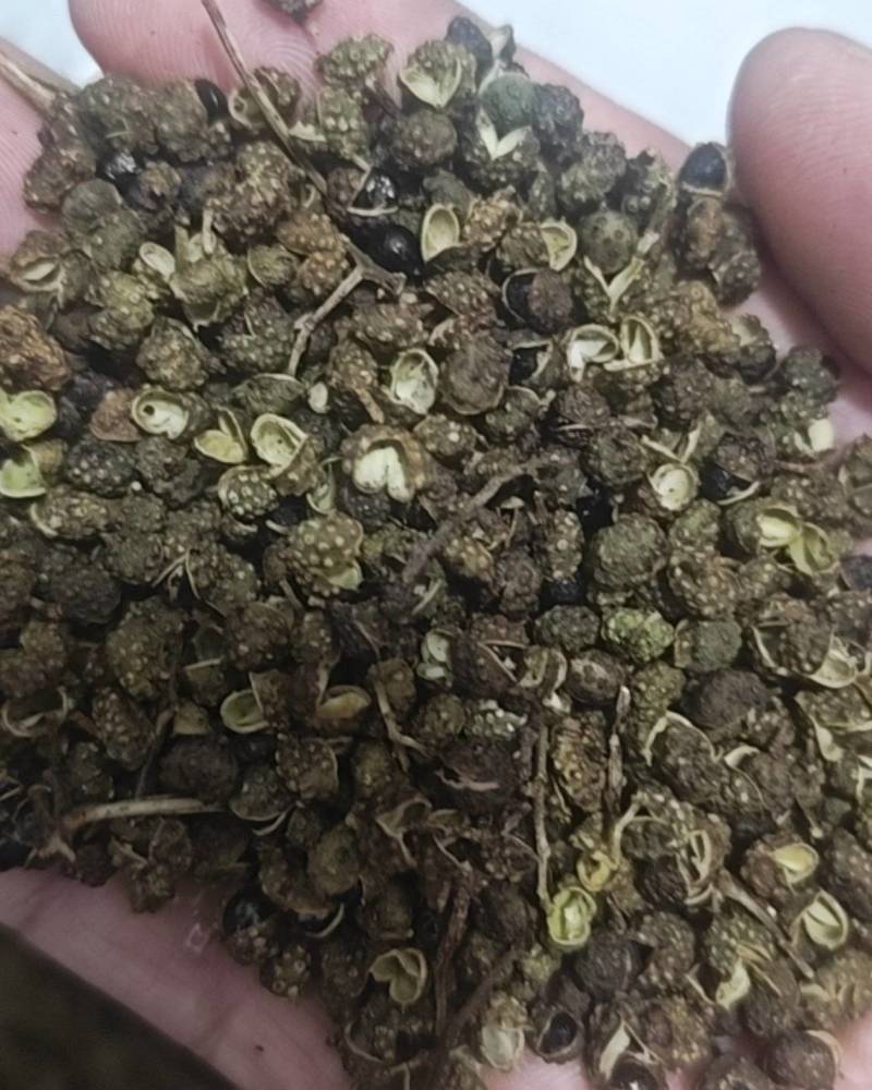 金阳生态红花椒，青花椒