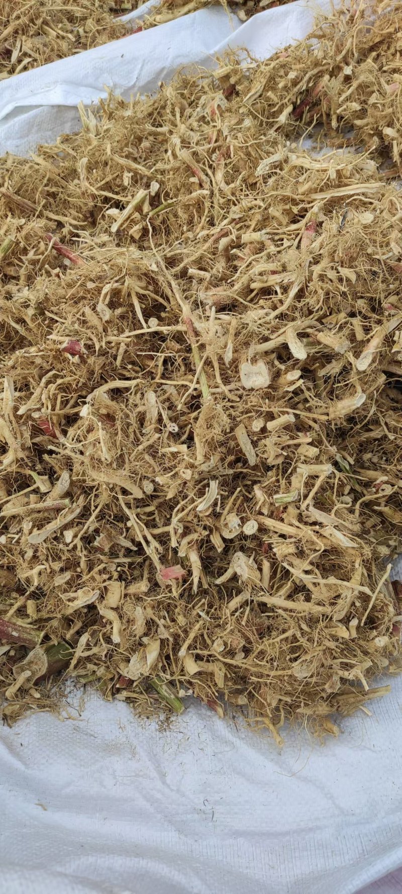 野生苋菜根干货产地直供全国发货欢迎采购量大从优支持视频