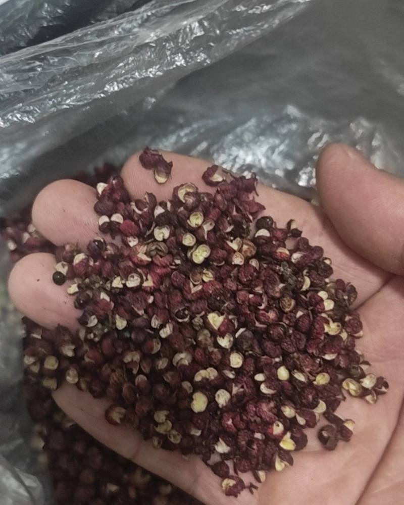 金阳生态红花椒，青花椒