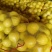 【爆汁甜】正宗三红柚，原产地直发，量大无忧，火热上市。