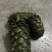 新鲜野生松塔