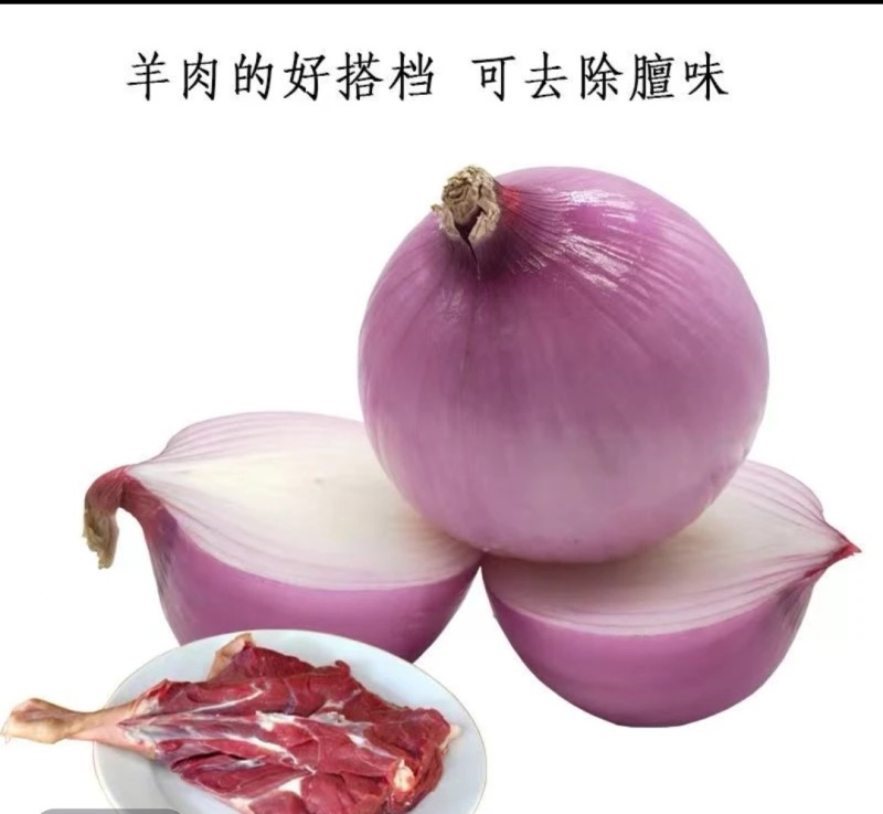 洋葱，阳光孕育脆甜多汁，河西走廊好味道，农户直供新鲜到家