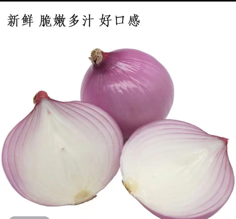 洋葱，阳光孕育脆甜多汁，河西走廊好味道，农户直供新鲜到家