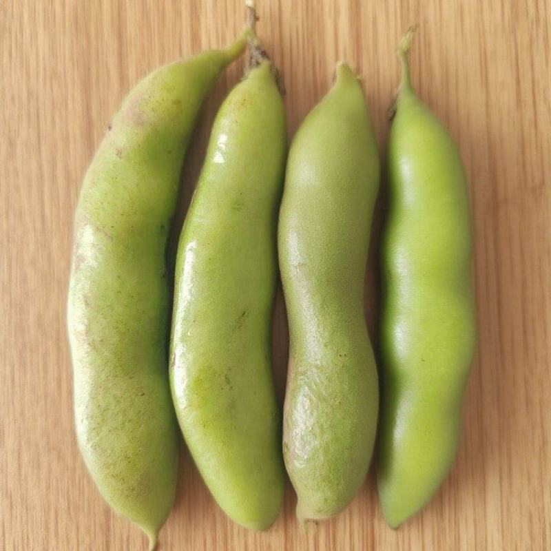 蚕豆～富蛋白钙铁，吃新鲜蚕豆藏精华，补蛋白助活力。联系我