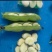 蚕豆～富蛋白钙铁，吃新鲜蚕豆藏精华，补蛋白助活力。联系我